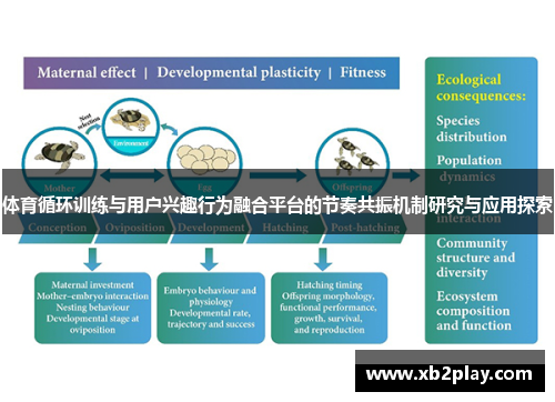 体育循环训练与用户兴趣行为融合平台的节奏共振机制研究与应用探索